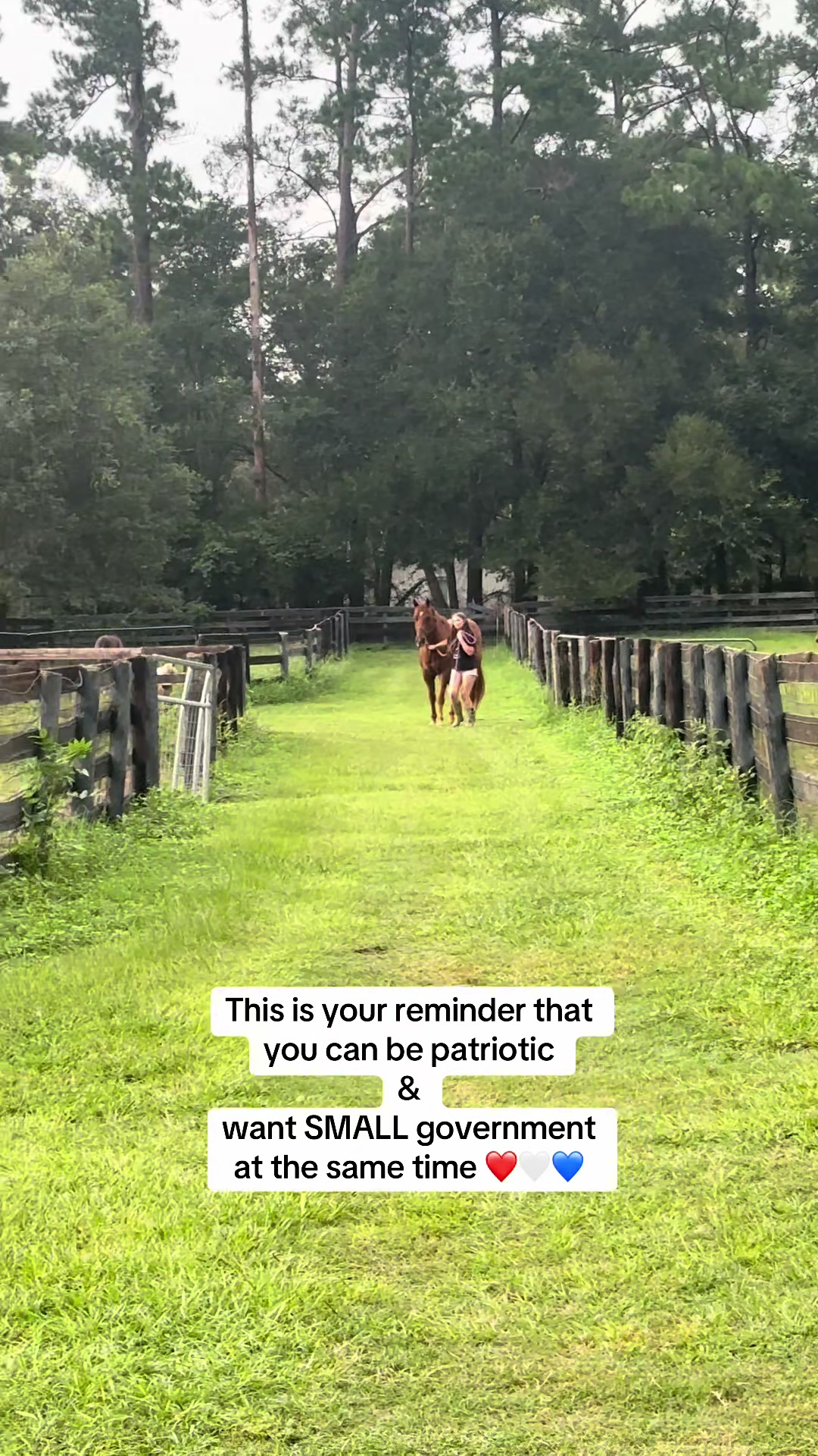 @itiswellstables