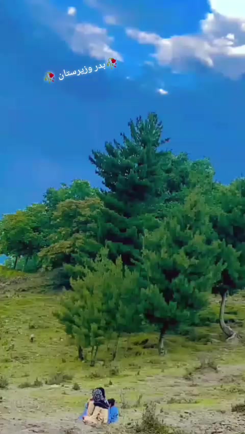 @༺デ═一 شہزادہ 一═デ༻