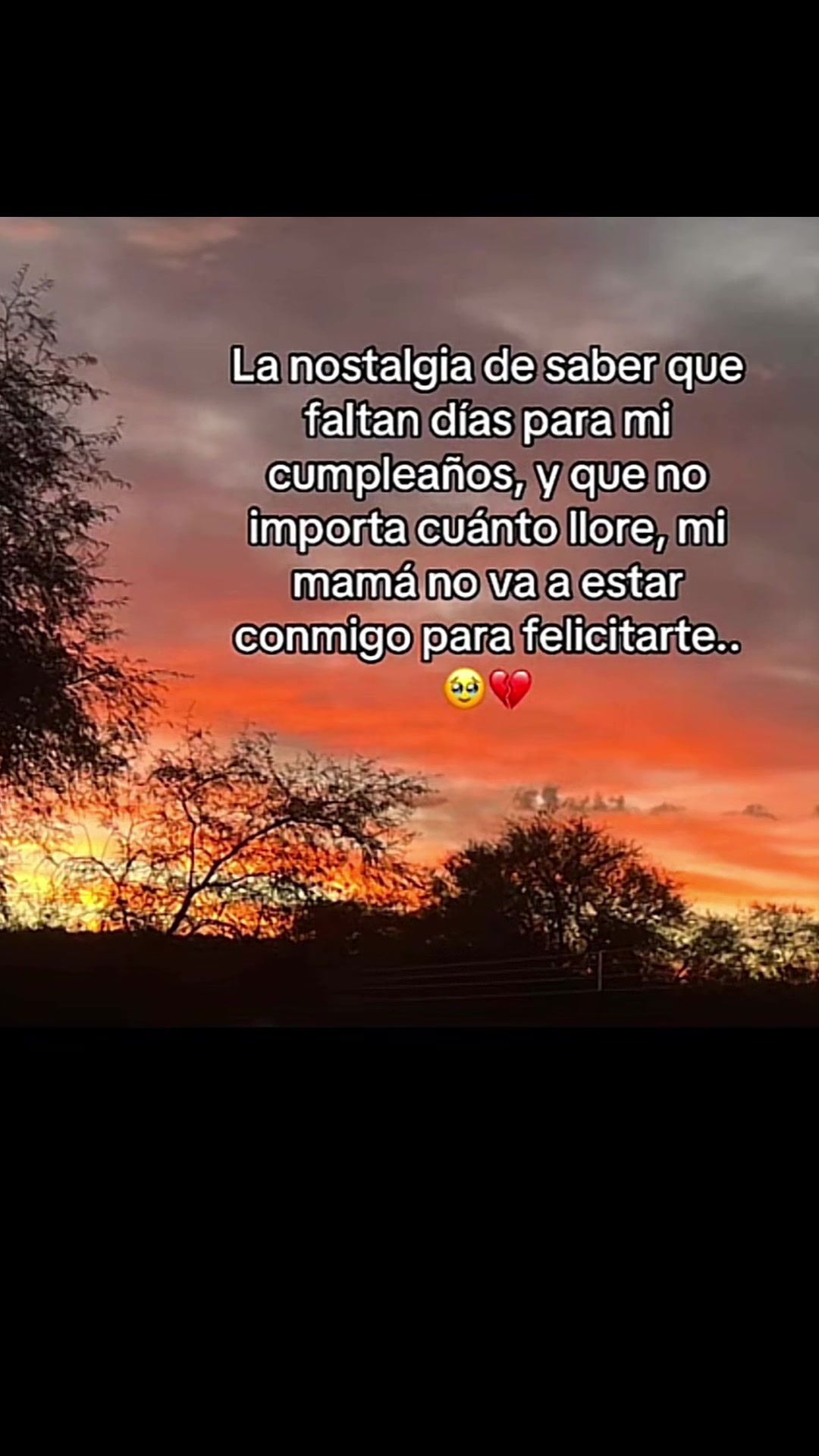 @Laura Gamez