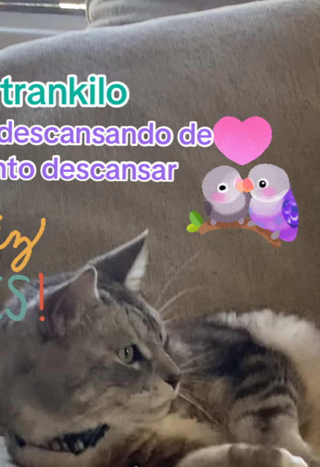 @Rosy