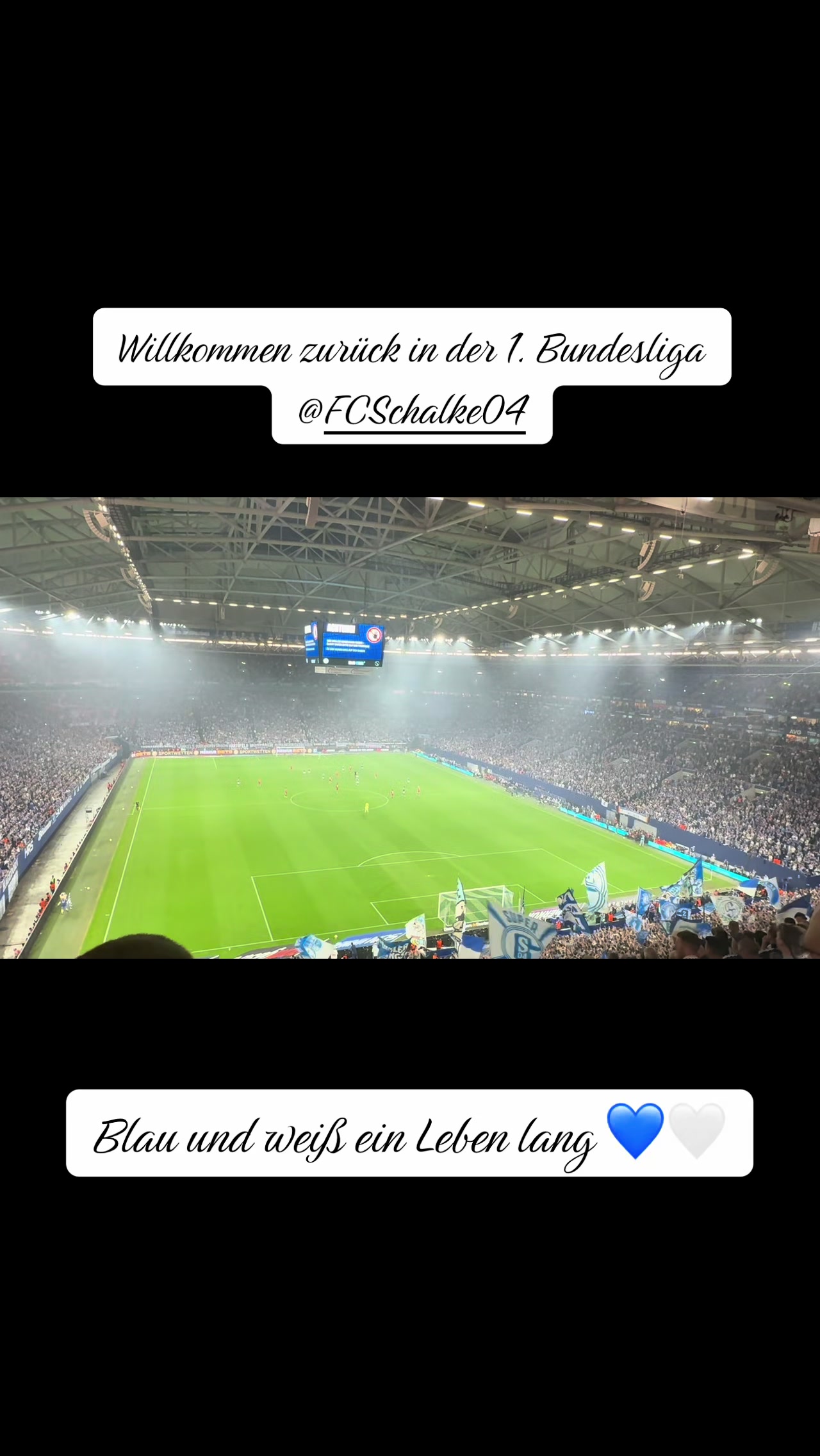 @🤜💙✨ Mrs. Unanständig ✨💙🤛