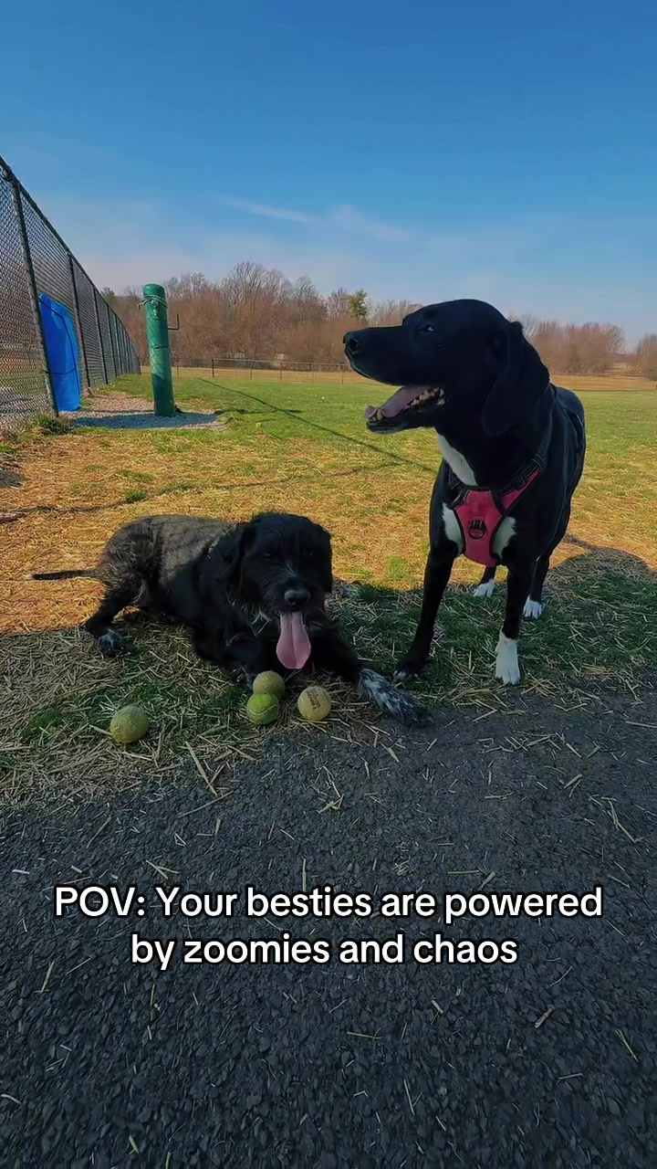 @ONLYPLANTFANZ