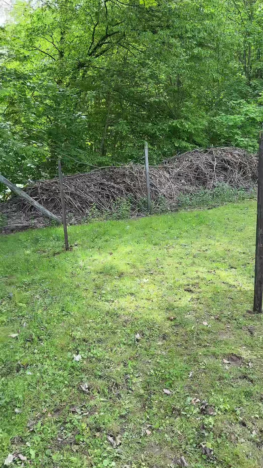 @HafiHorse2