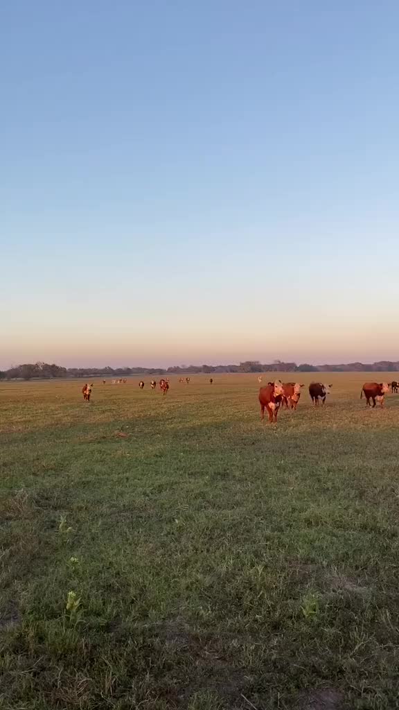 @The V6 Ranch