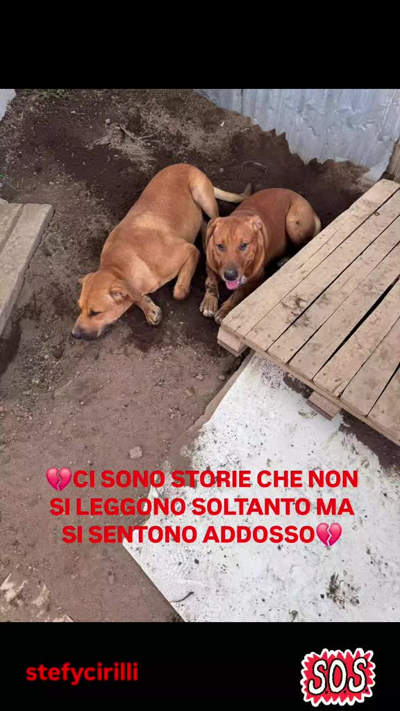 @Stefy Cirilli