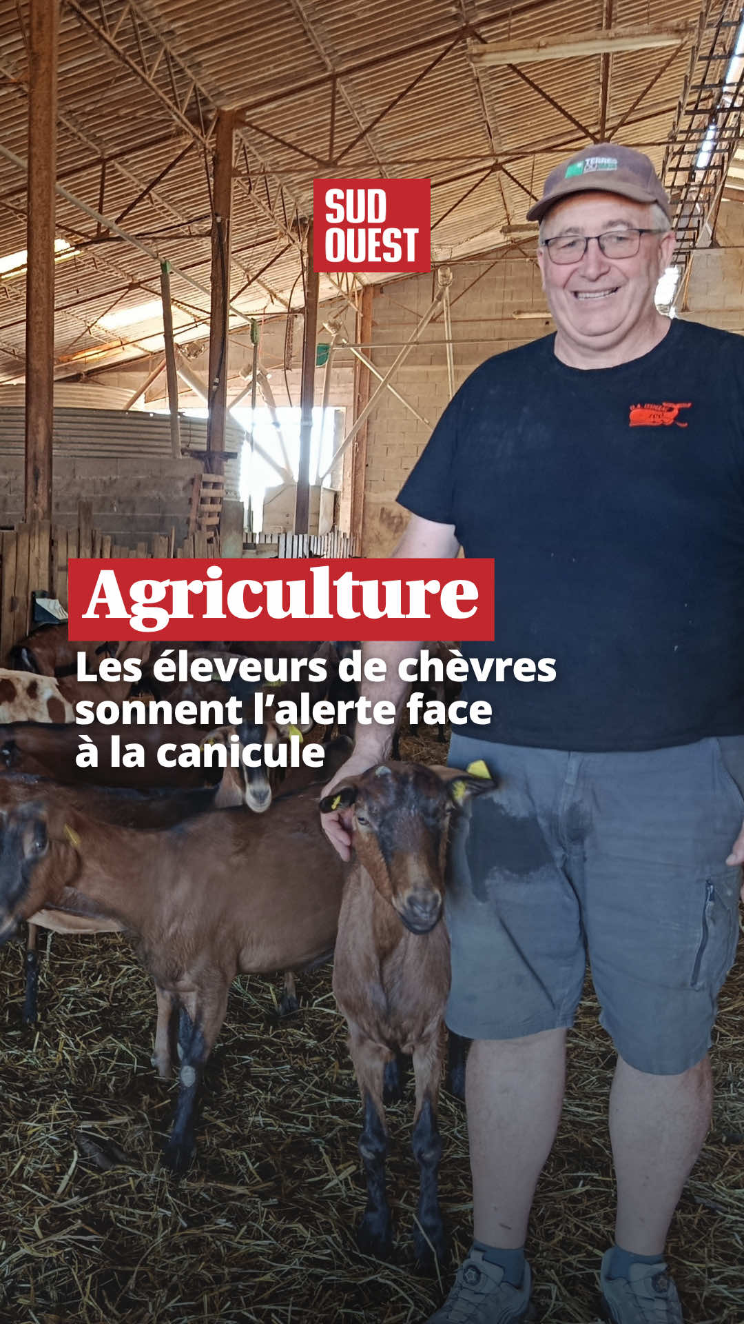 @Sud Ouest
