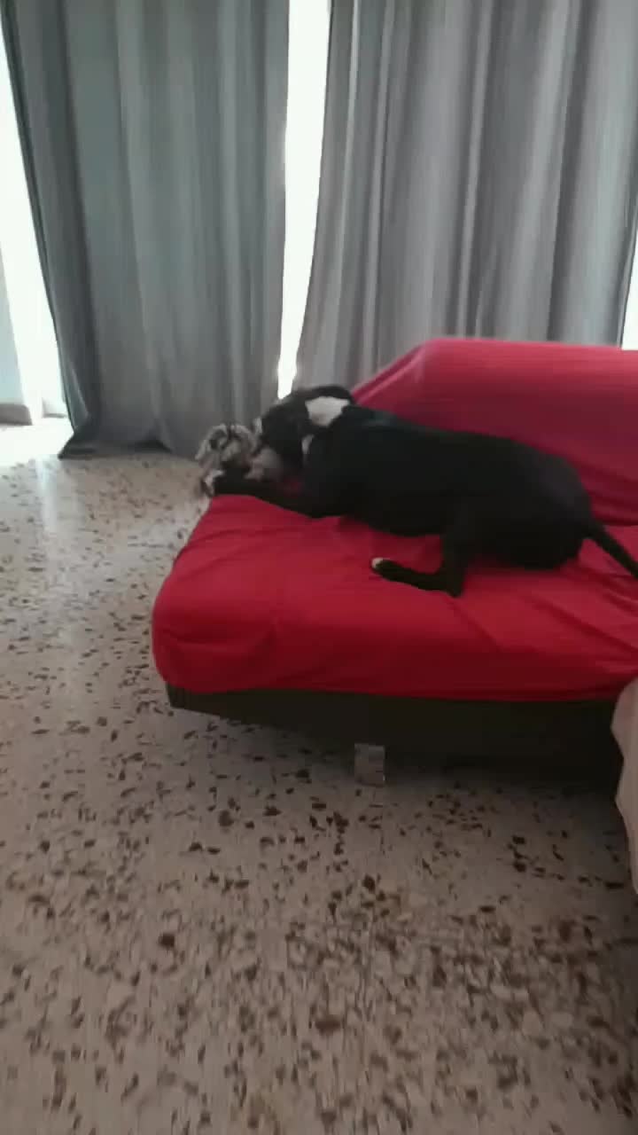 @Ivano