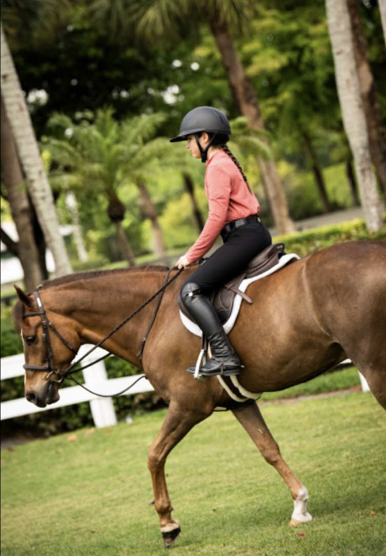 @Equisite Elements of Style