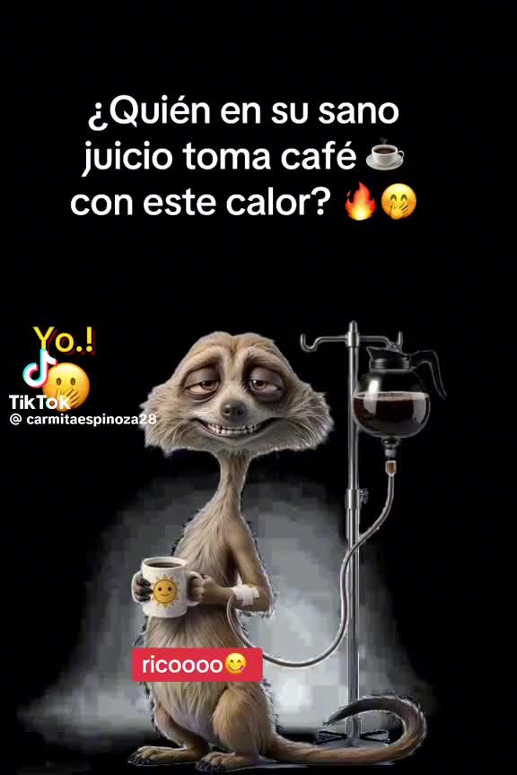 @Jass