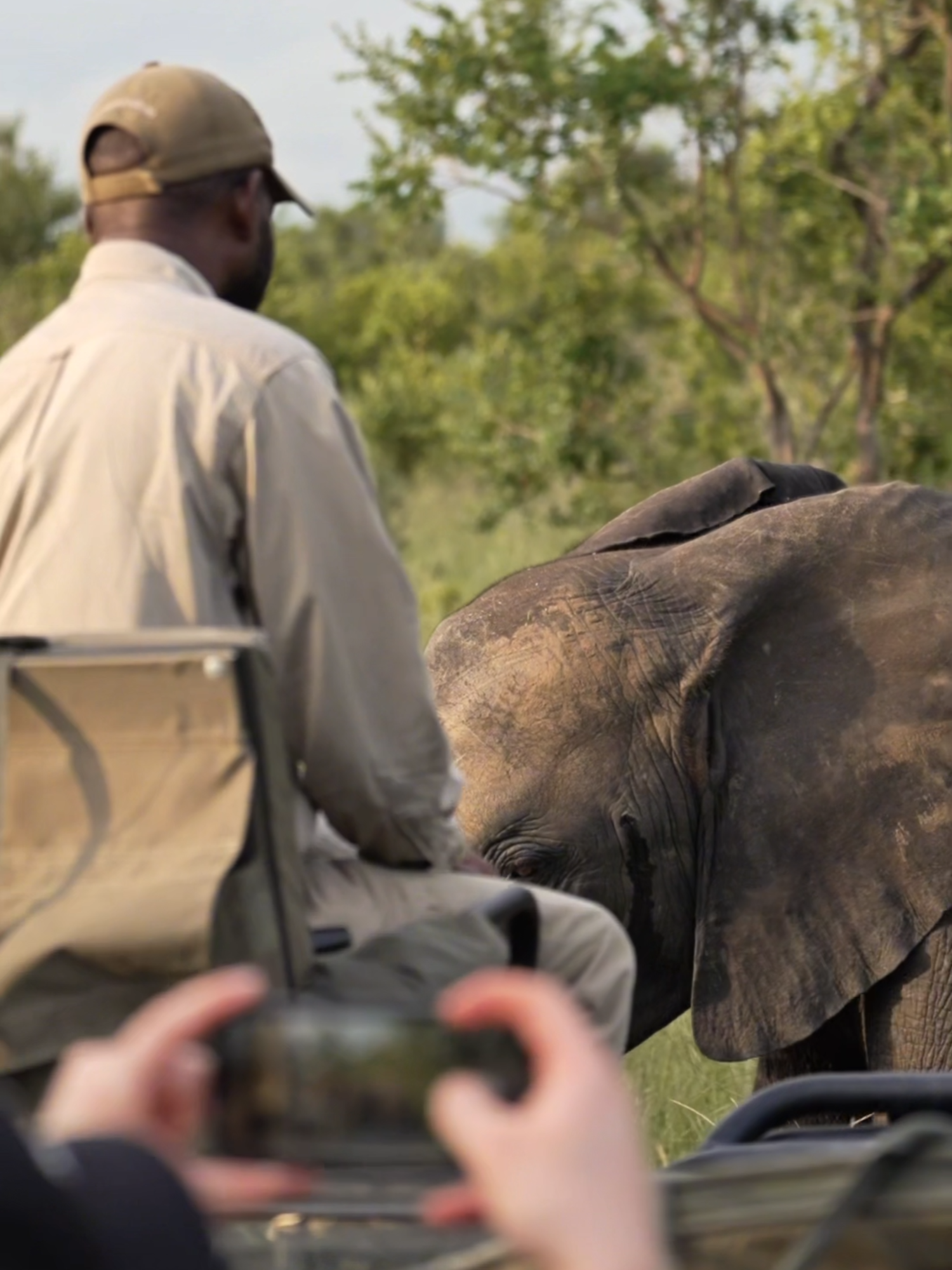 @Thornybush