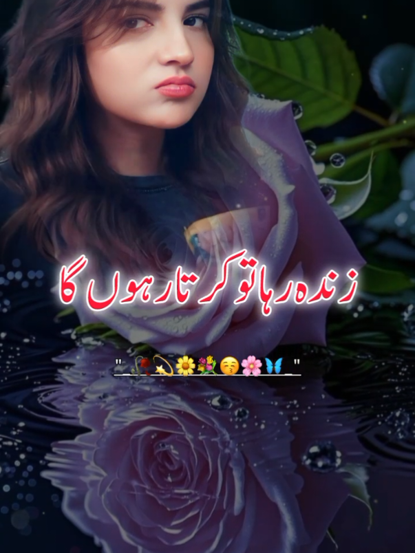 @اردو شاعری 🦋
