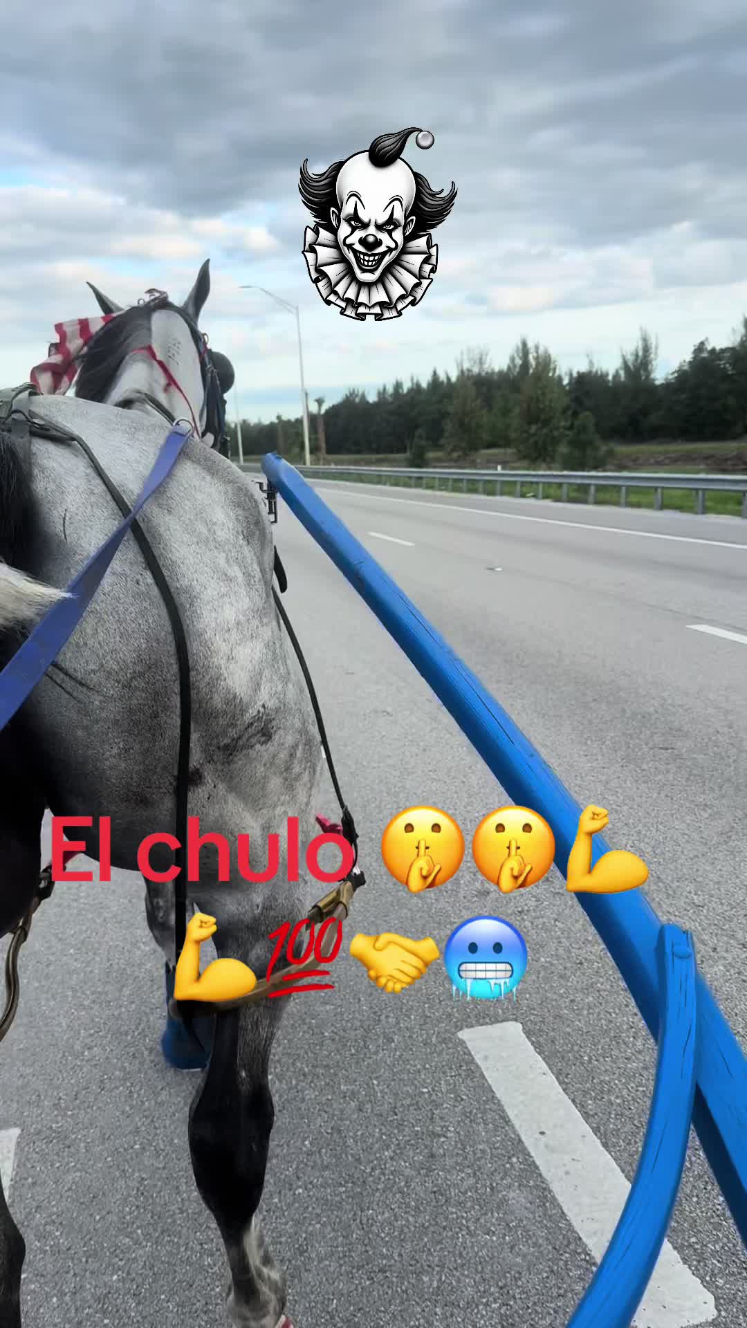@🔥🔥❤️EL FEO ❤️🔥🔥