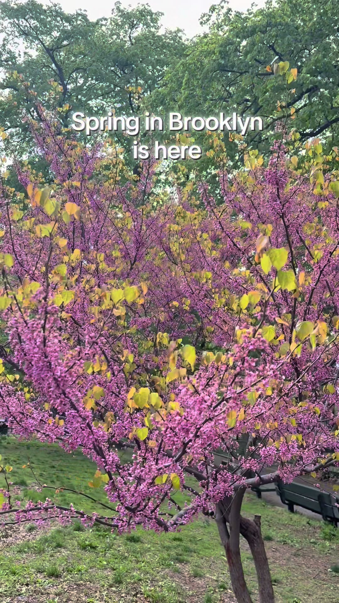 @Mary-Lyn Buckley