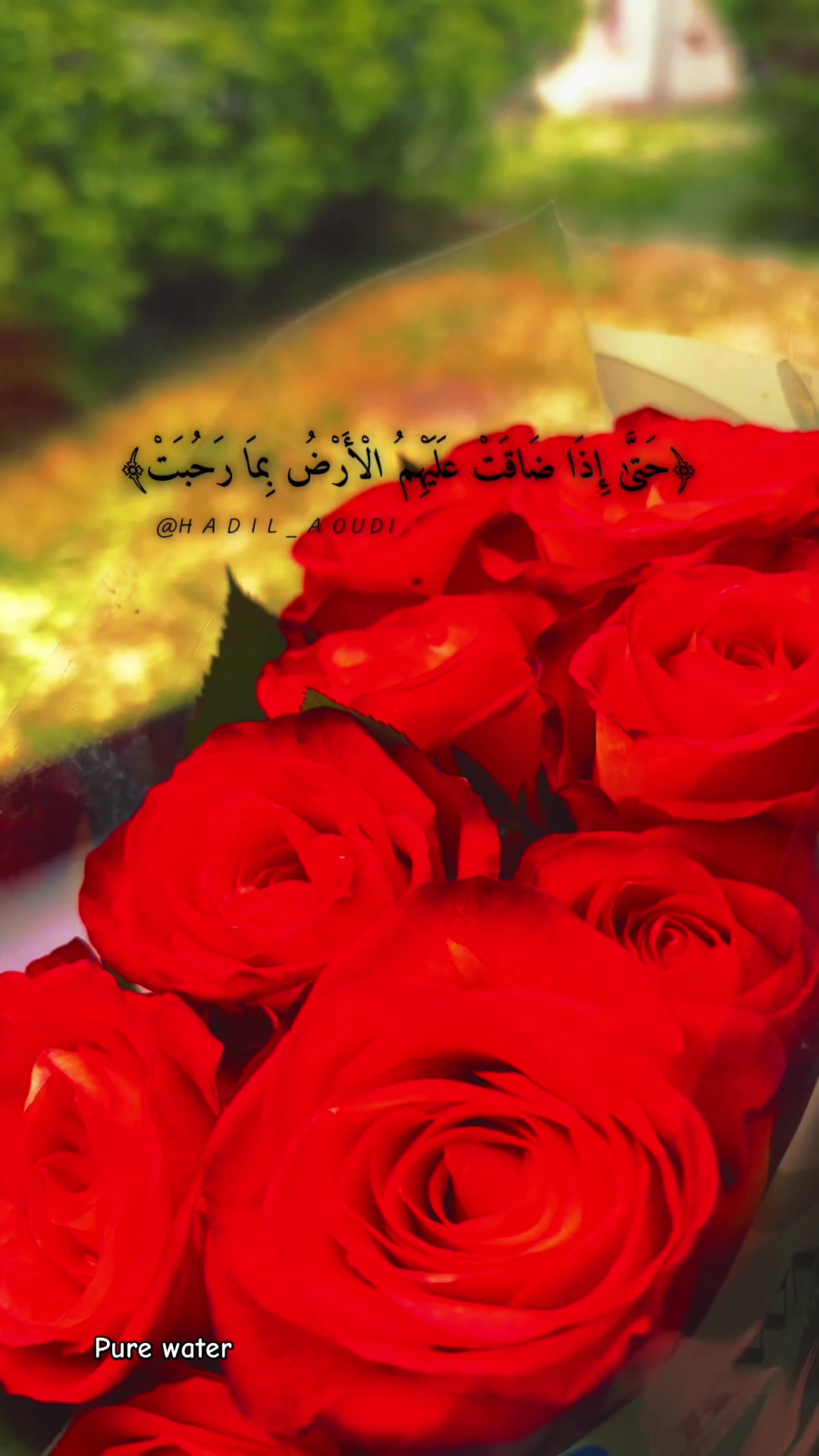 @Rawan A