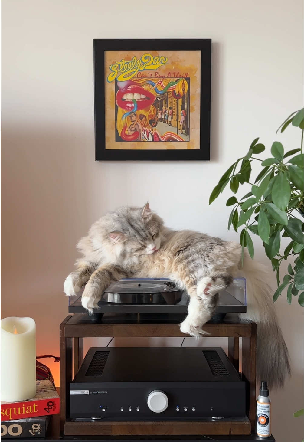 @Leon The Vinyl Cat