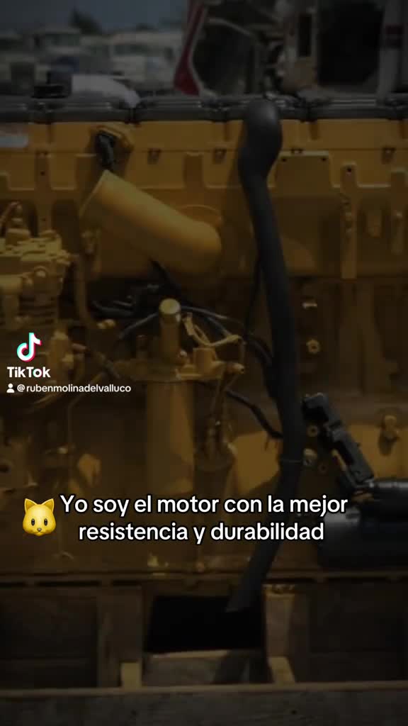 @Mechanic Rubén Molina