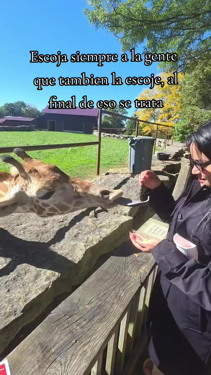 @✨️SC✨️