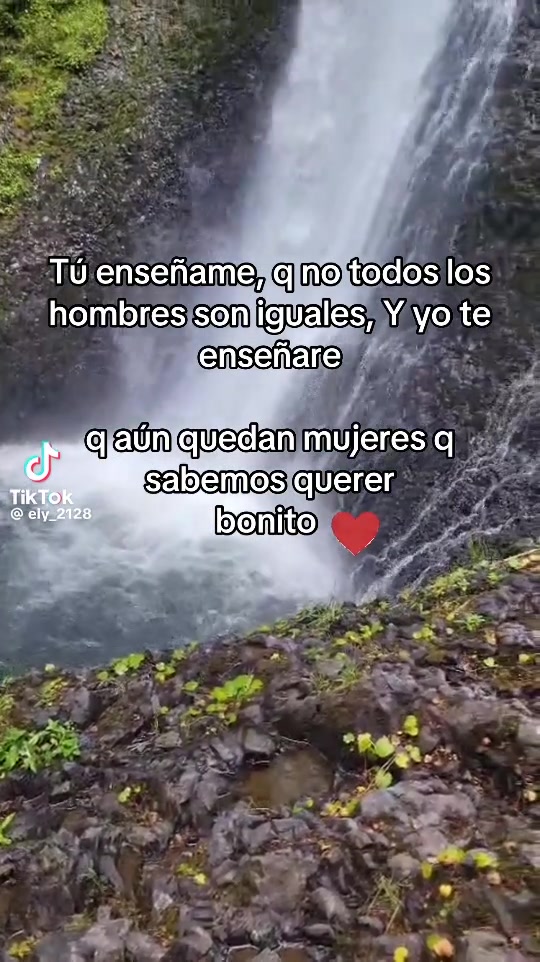 @Dorada