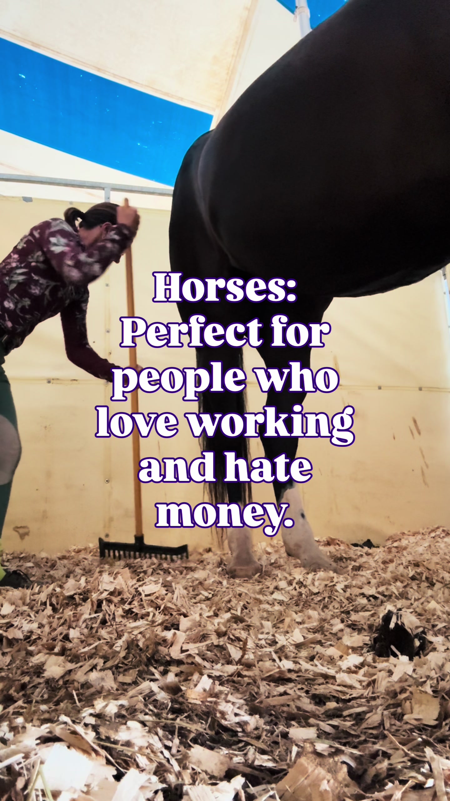 @Equestrian |🦄 Mom