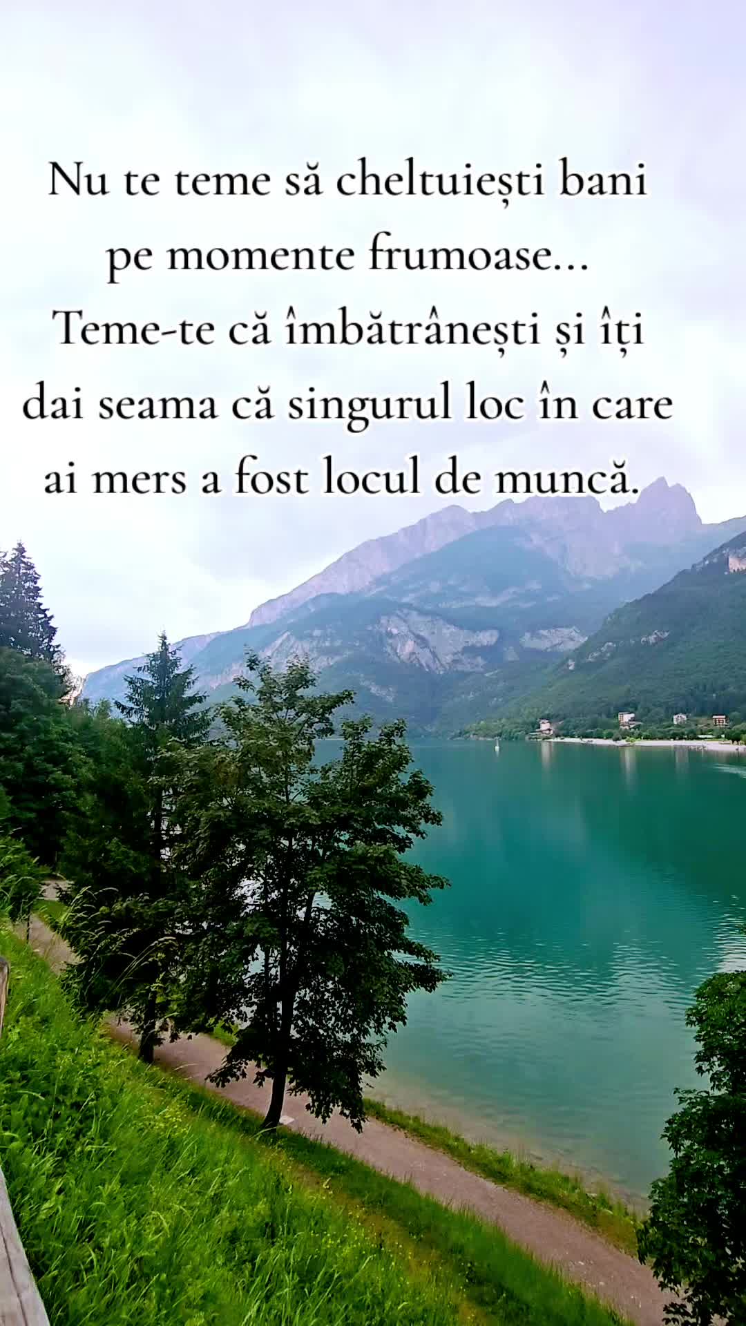 @ank_andreescu867