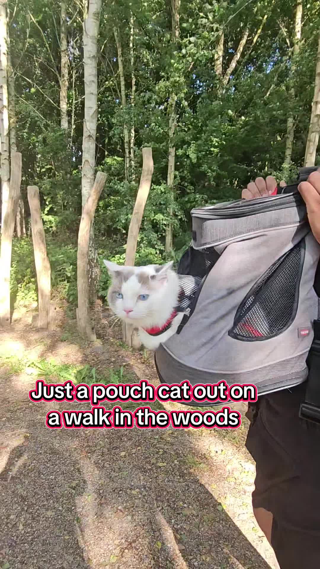 @peachandbeer