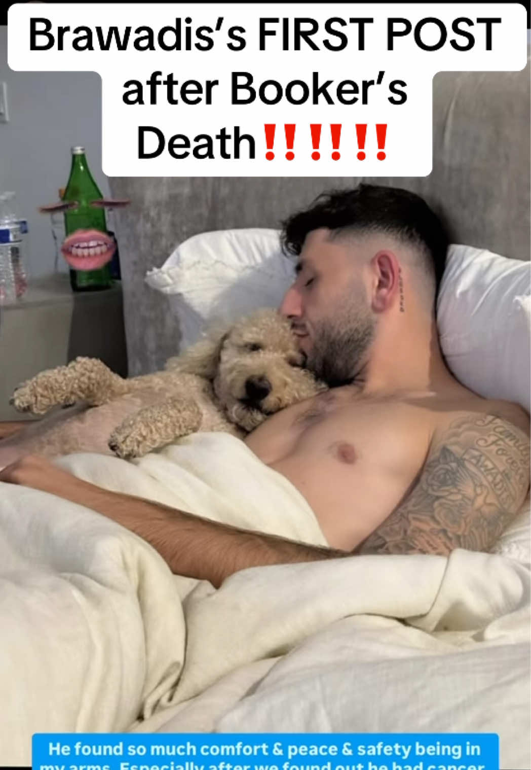 @spilltheteawithmera