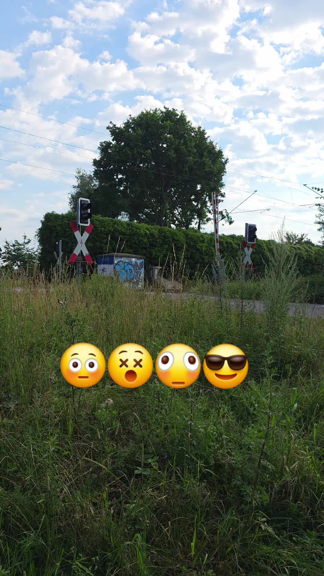 @DB~Marco 🌟 🚂