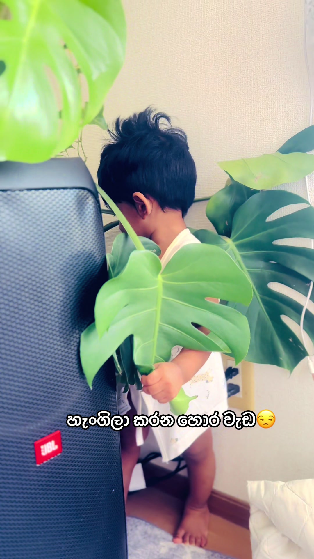@yamaya shashini 🇯🇵🇱🇰