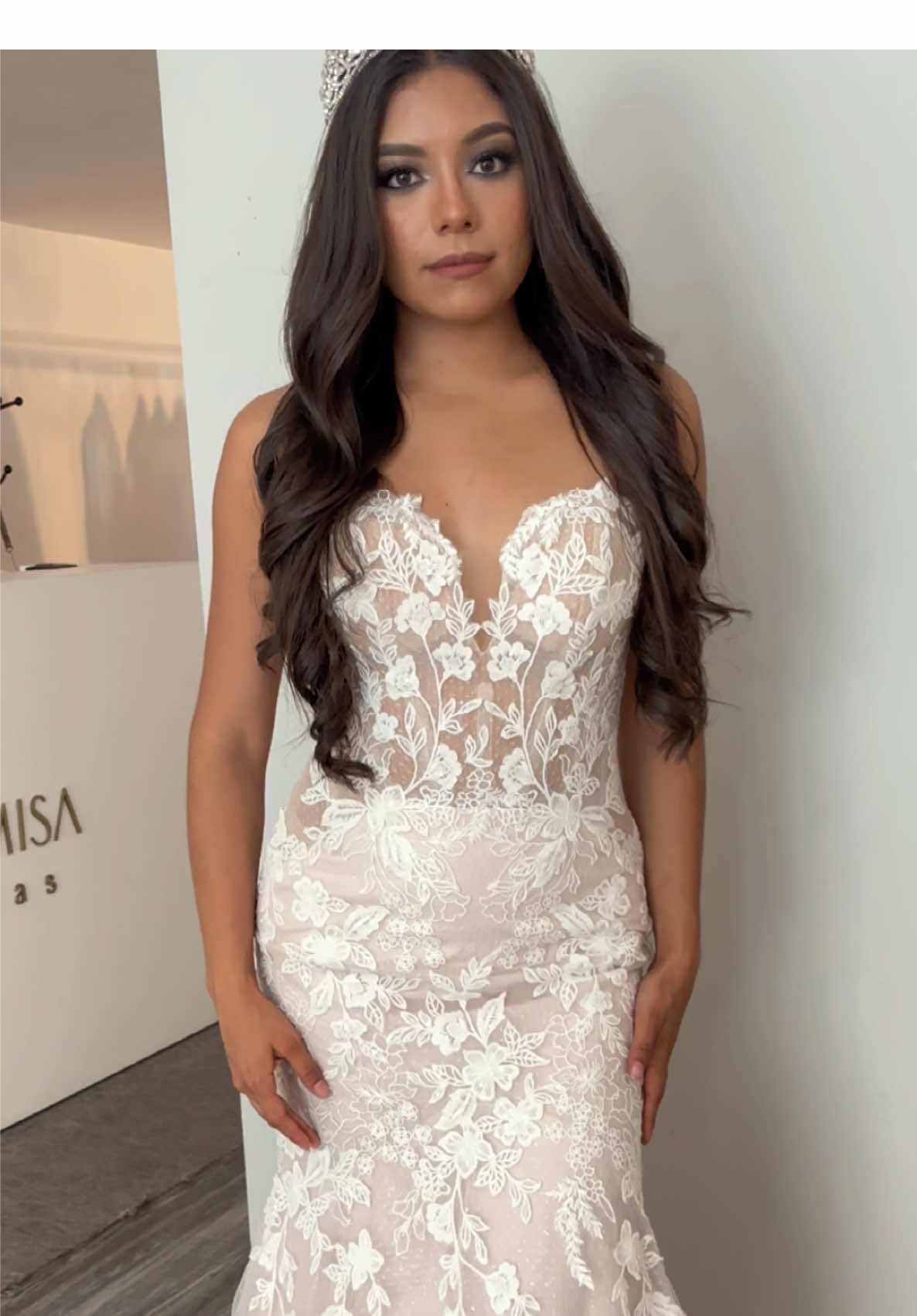 @artemisanoviasags