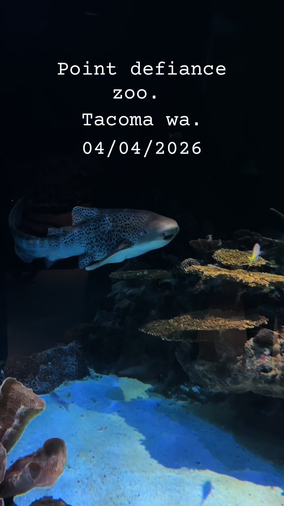 @Washington State Fishing