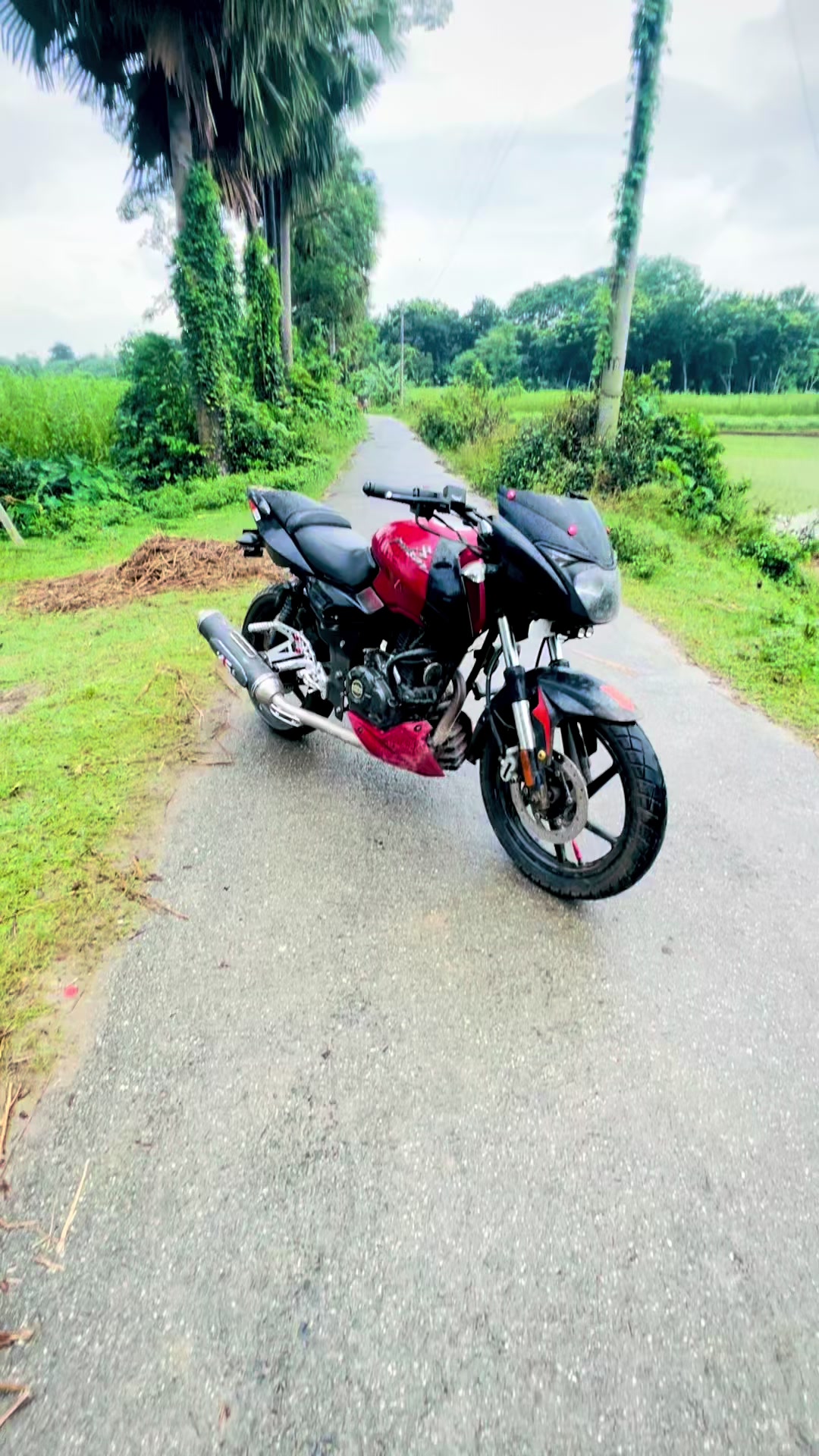 @Bunny Rider 20K❓