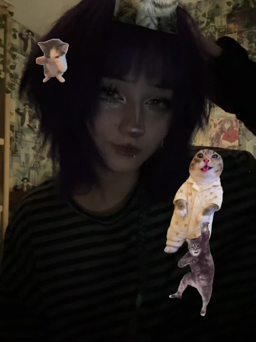 @aloraxs