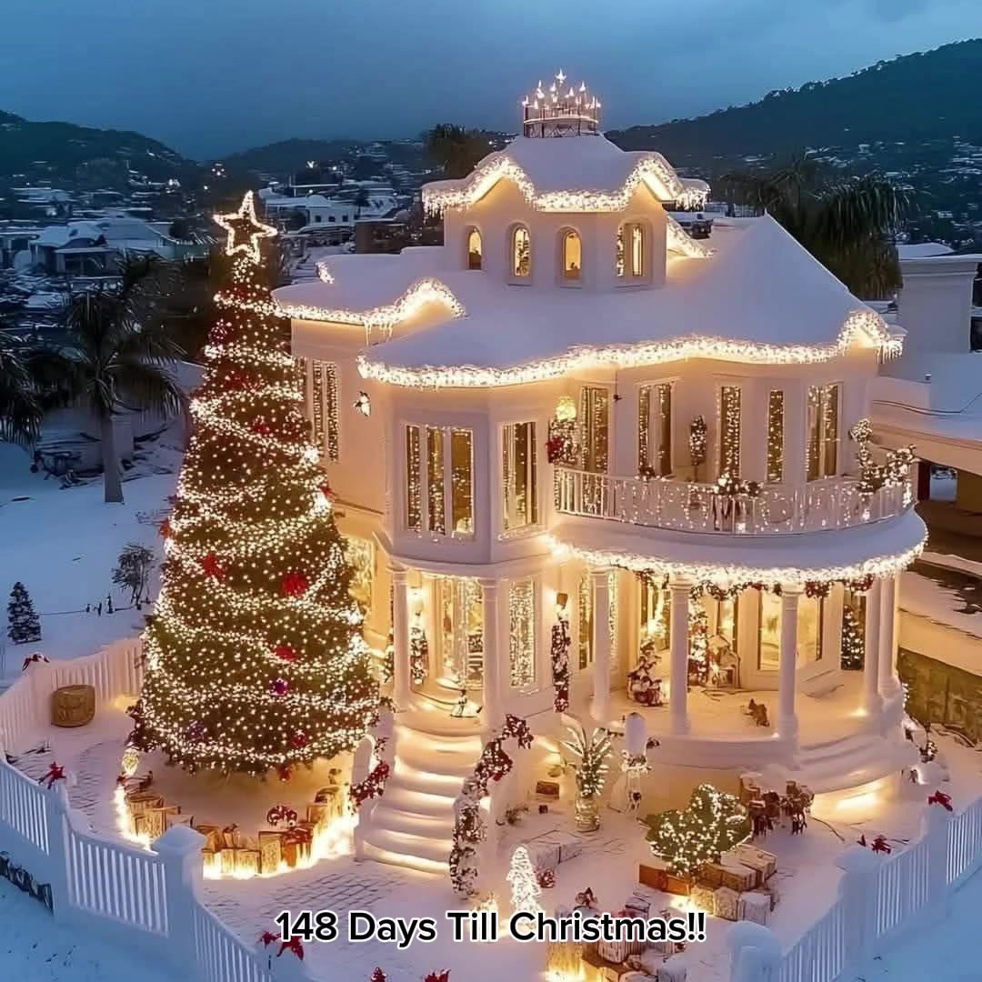 @christmas.tree65