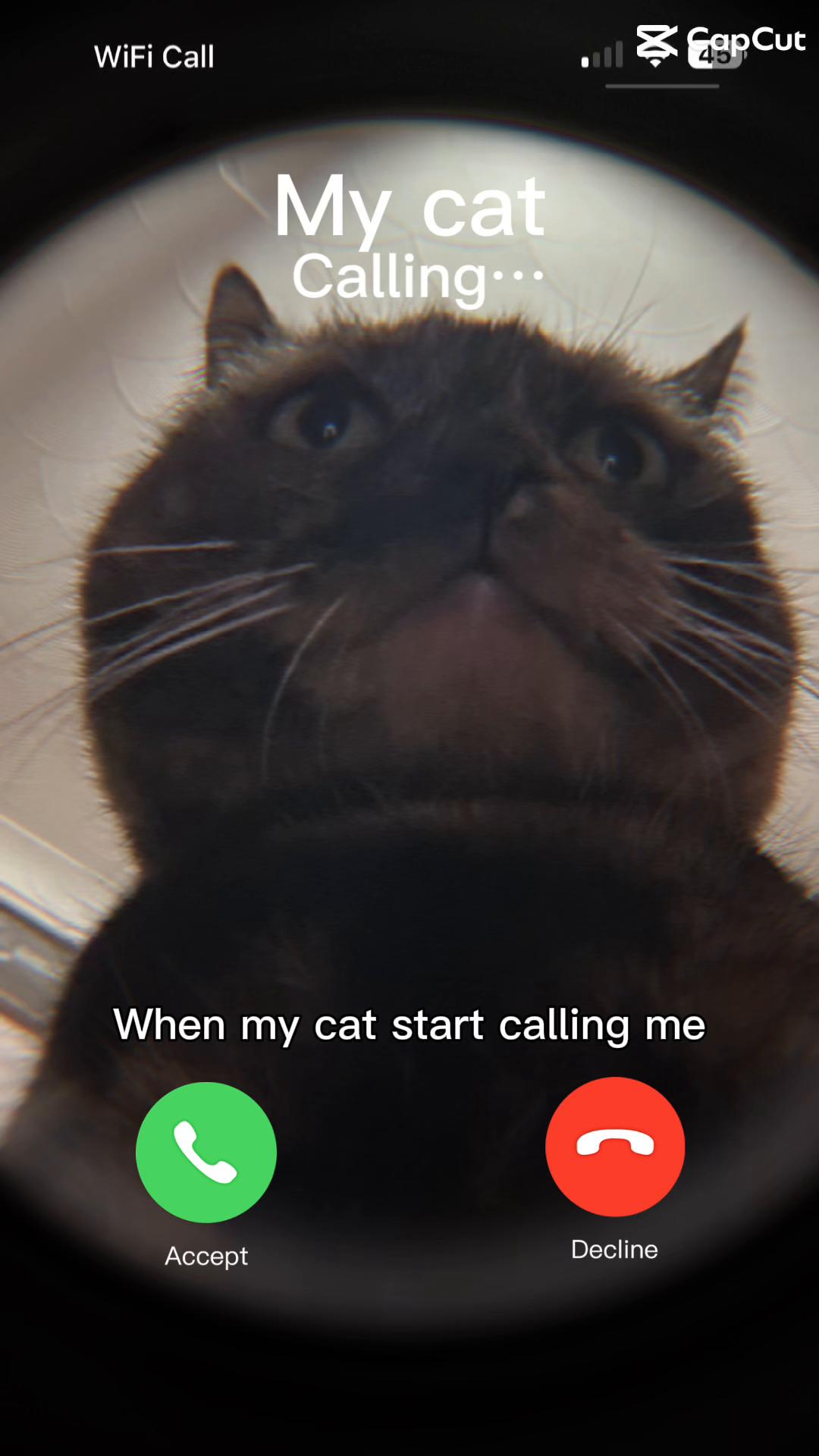 @Petlover1001