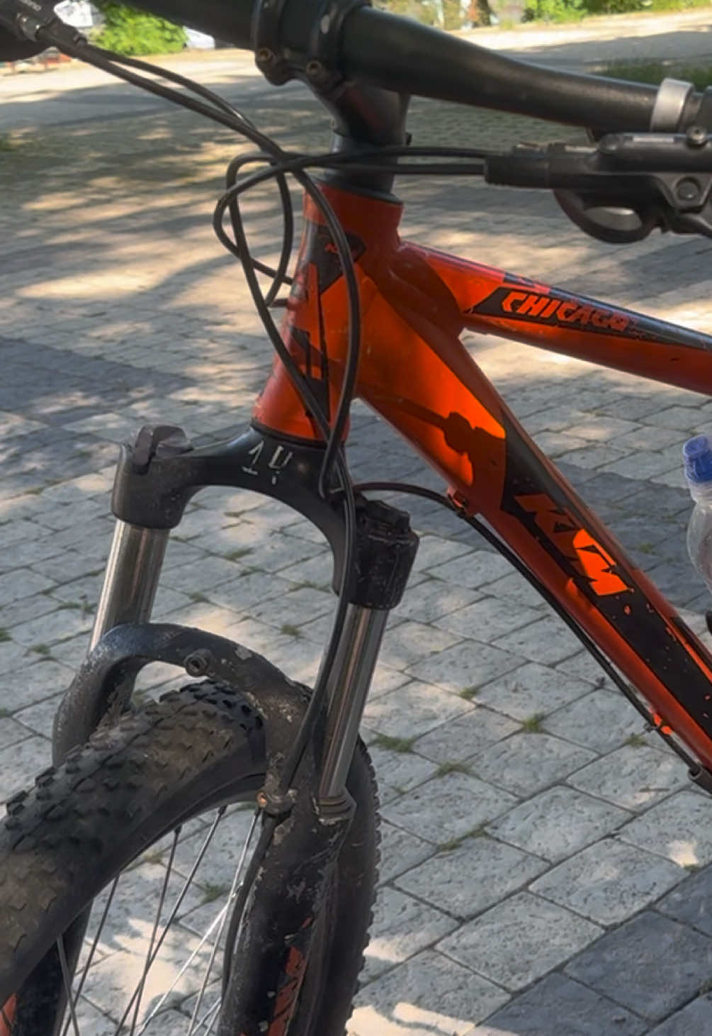 @Dear Asya..