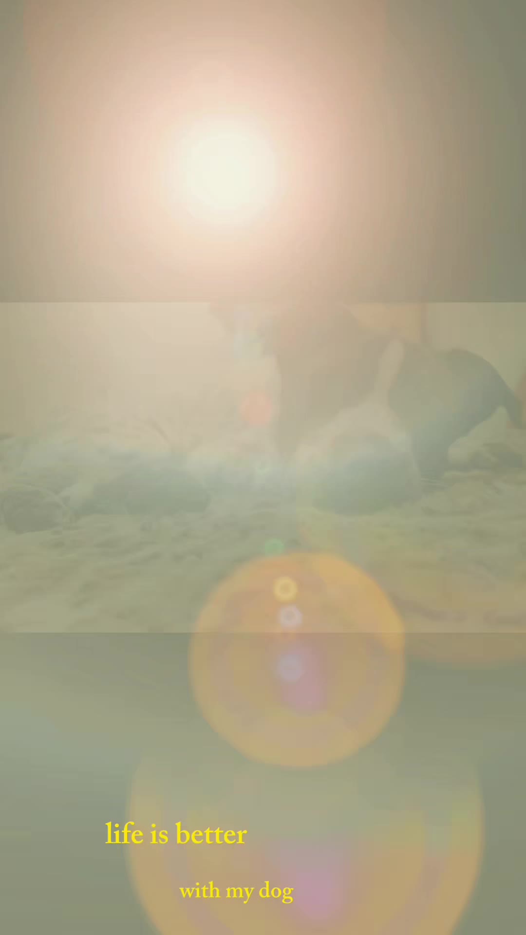 @💫🌞Sun_Shine_Girl8🌞💫
