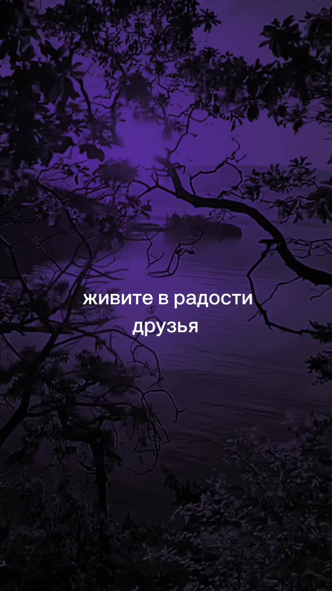 @МУЗ✯ОN