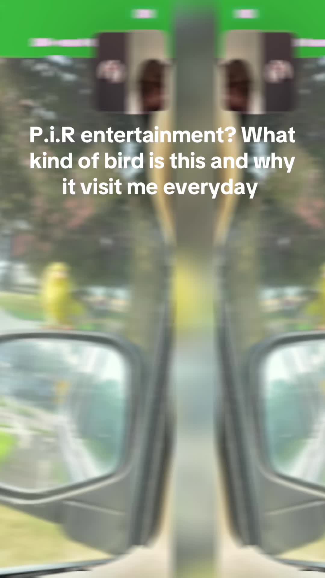 @kmartplugged