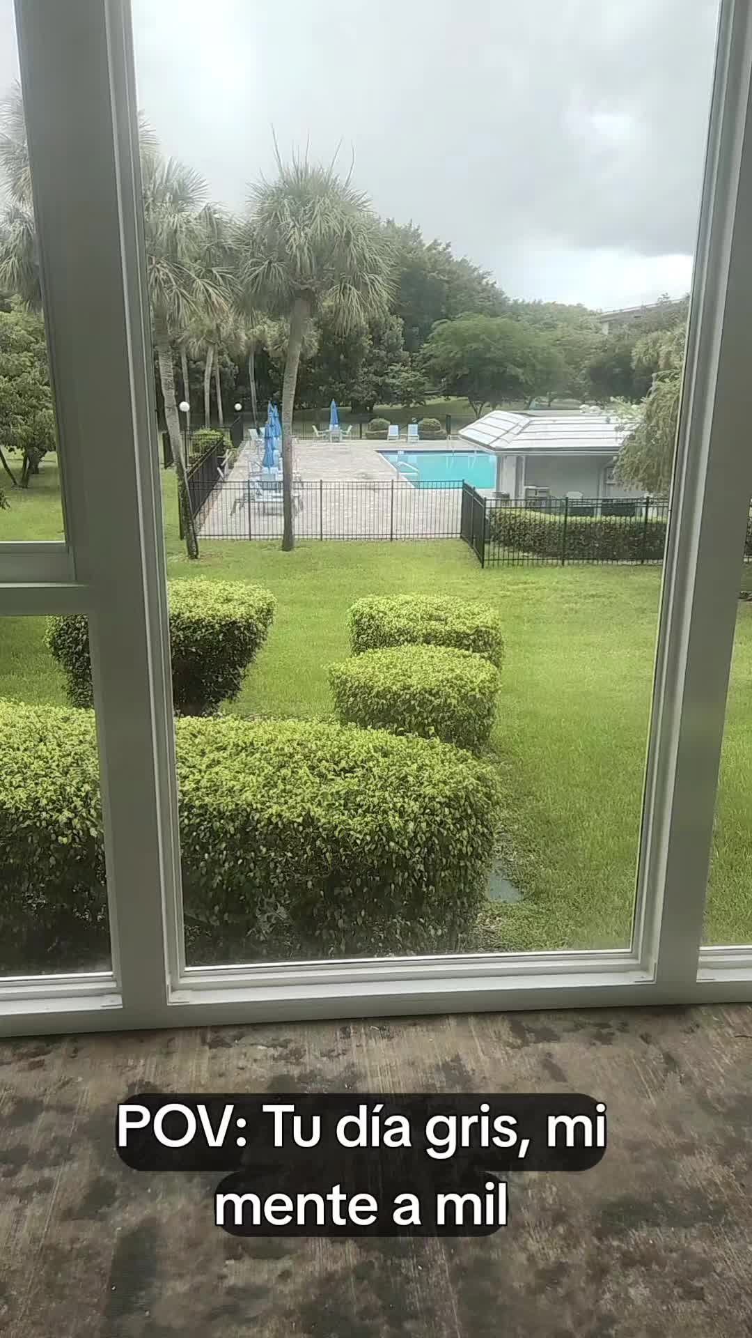 @Carlos noriega🇸🇻