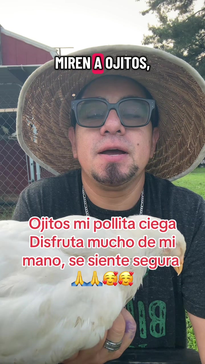 @WILSON DÍAZ