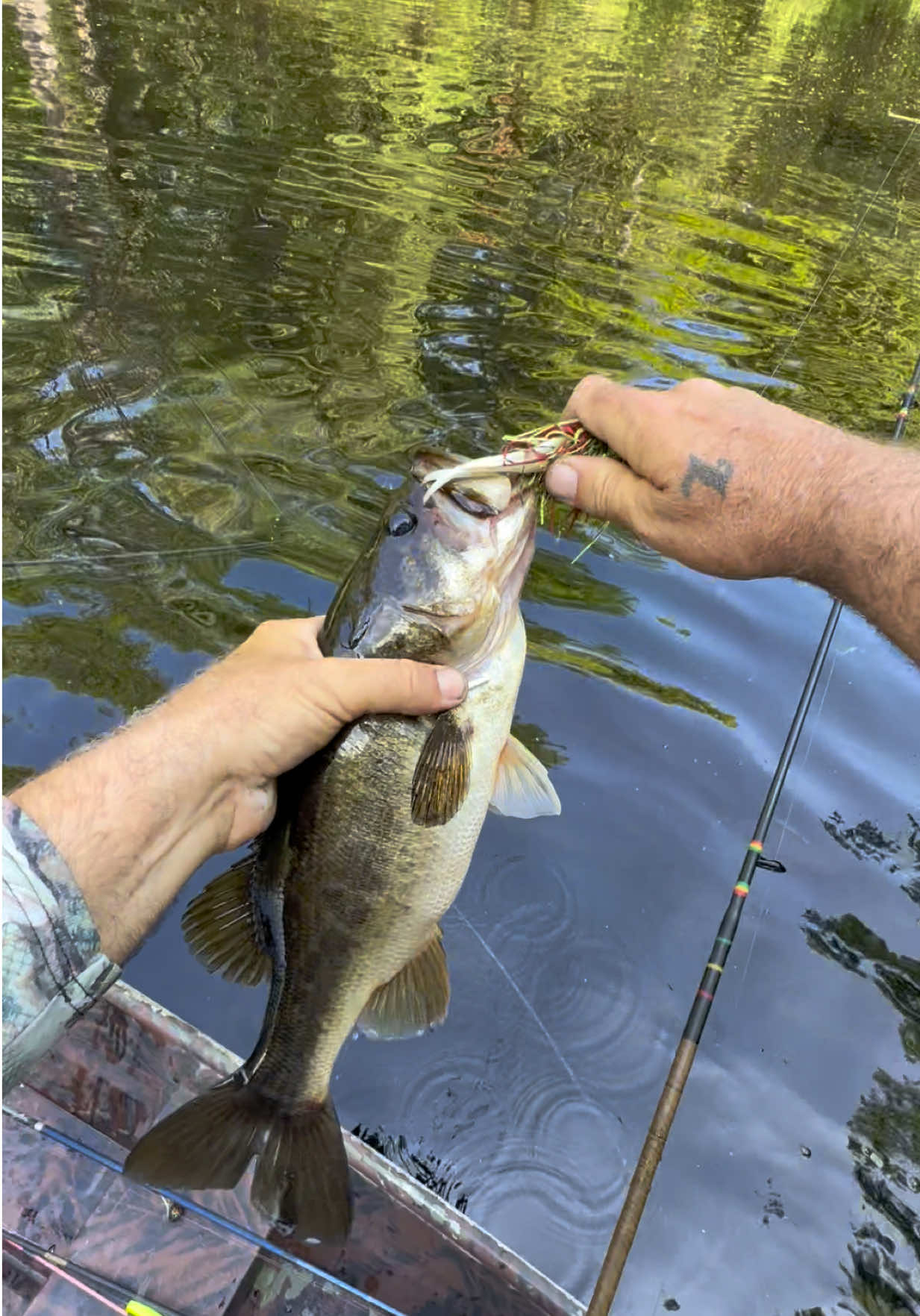 @WellsOntheWater