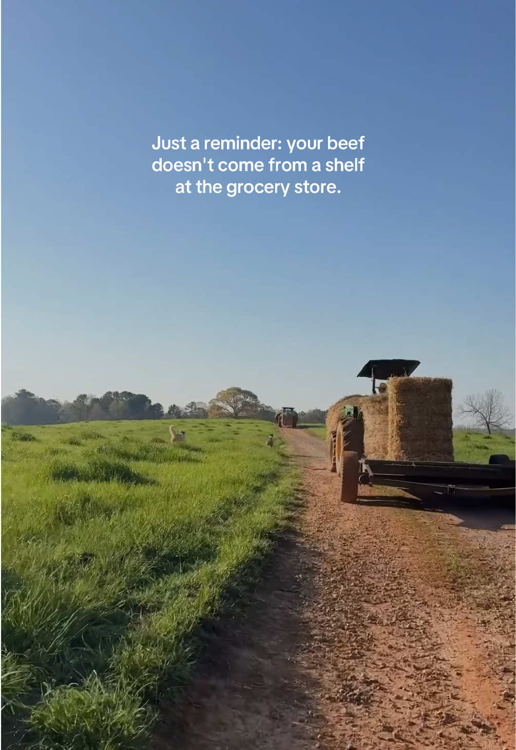 @Lily Hill Farm