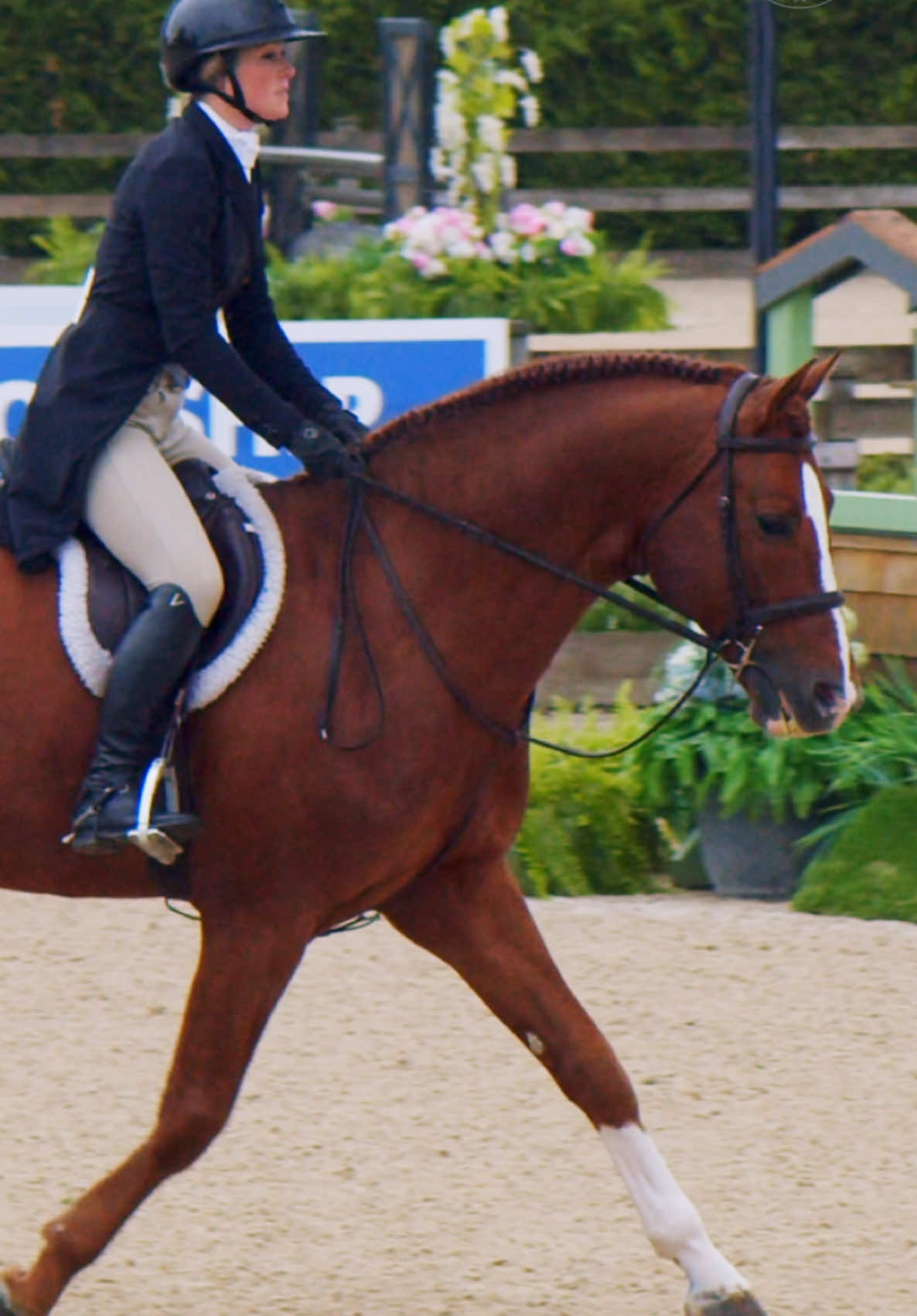 @HorseNetwork