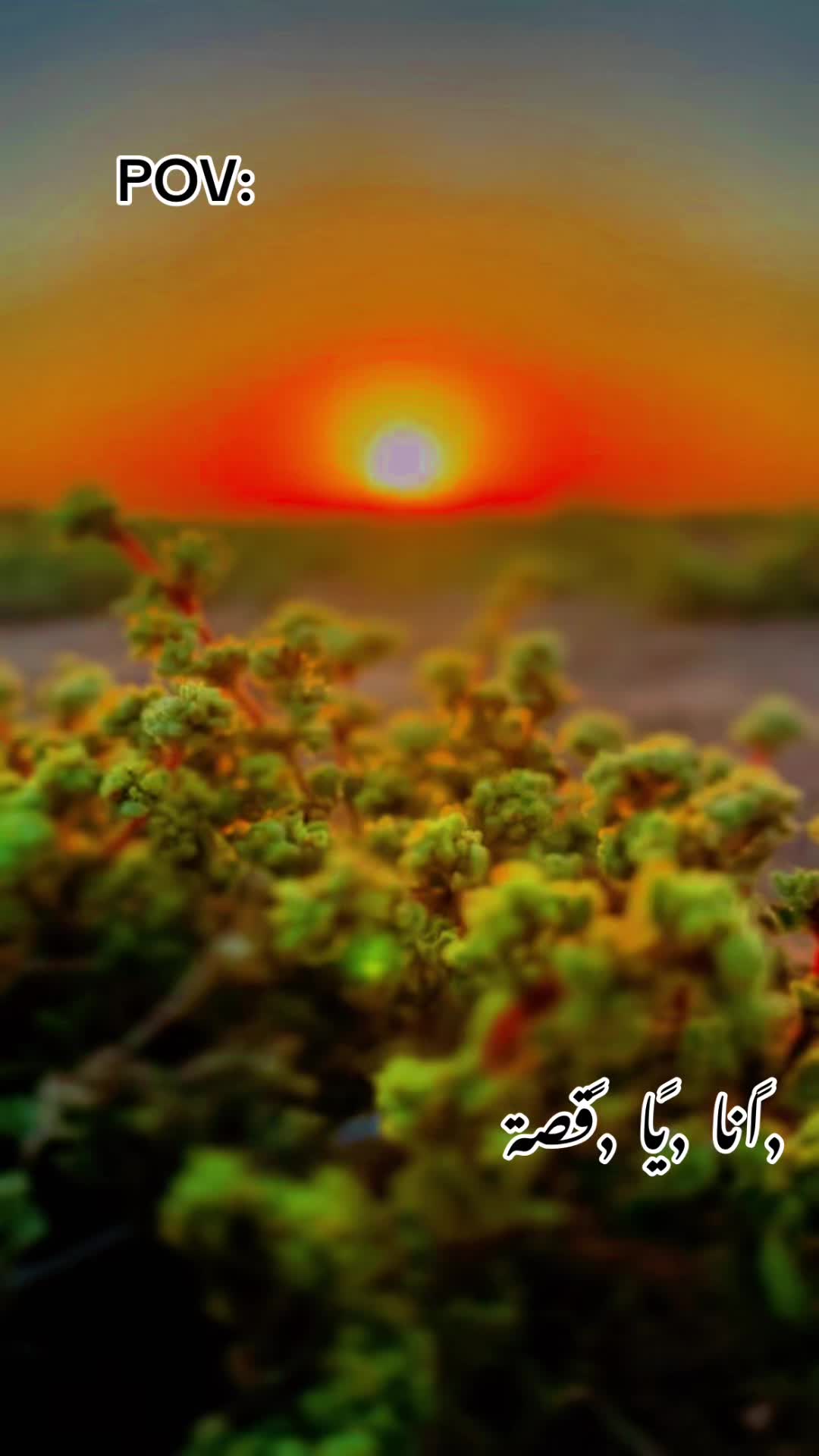 @๐น๐ทุฏูุจุงูุง ๐ธ๐ฉ