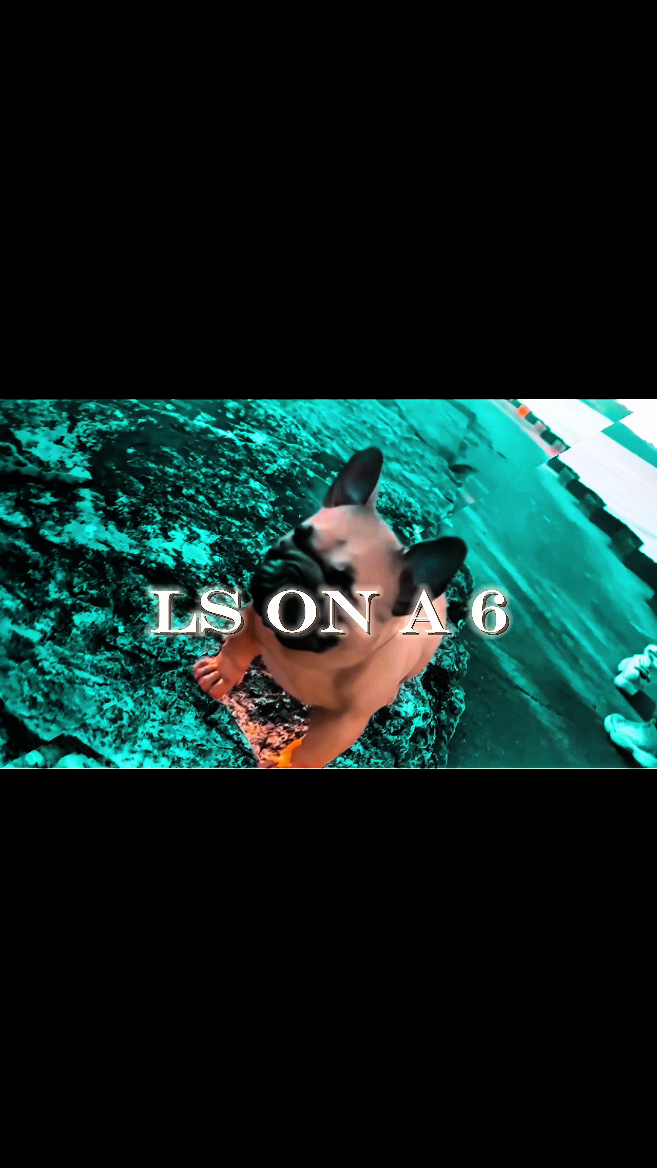 @RA K7NG