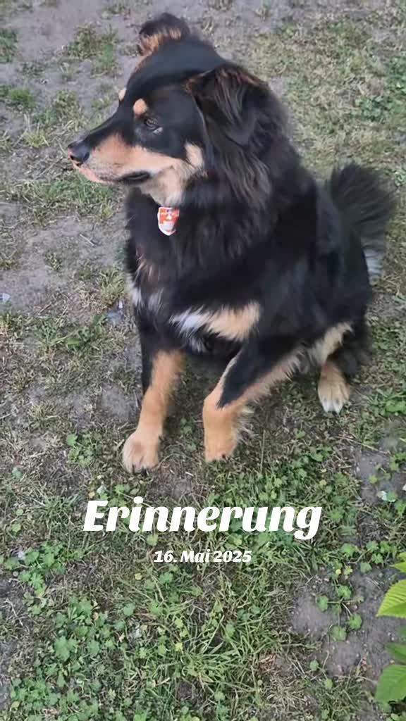 @Claire_Hund