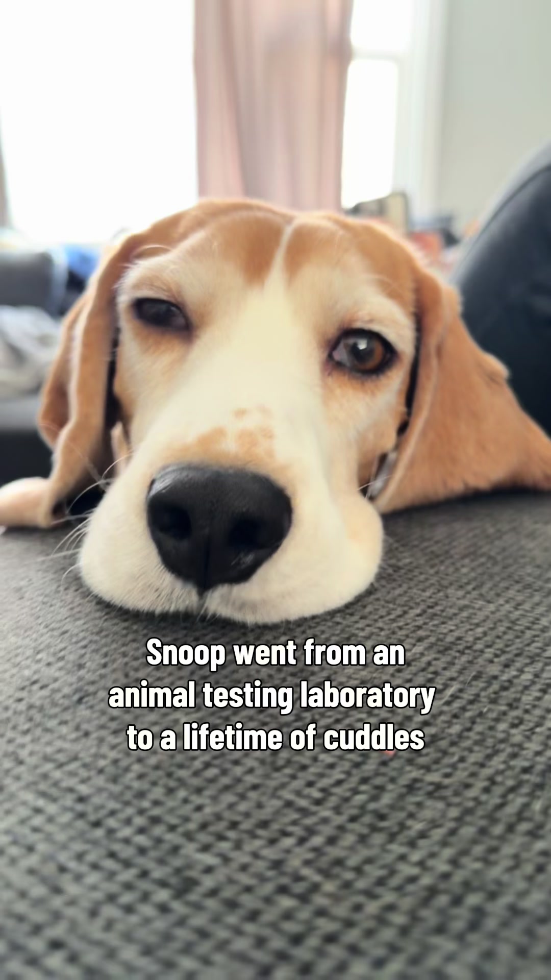@Swoledamort