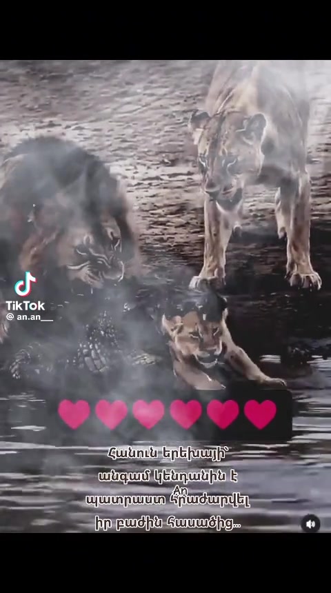 @๐ธ๐ฝ๐๐๐ ๐ป๐๐๐๐๐๐๐ ๐ธ