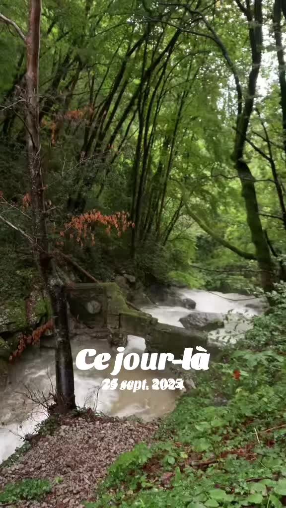 @Zohrabegans