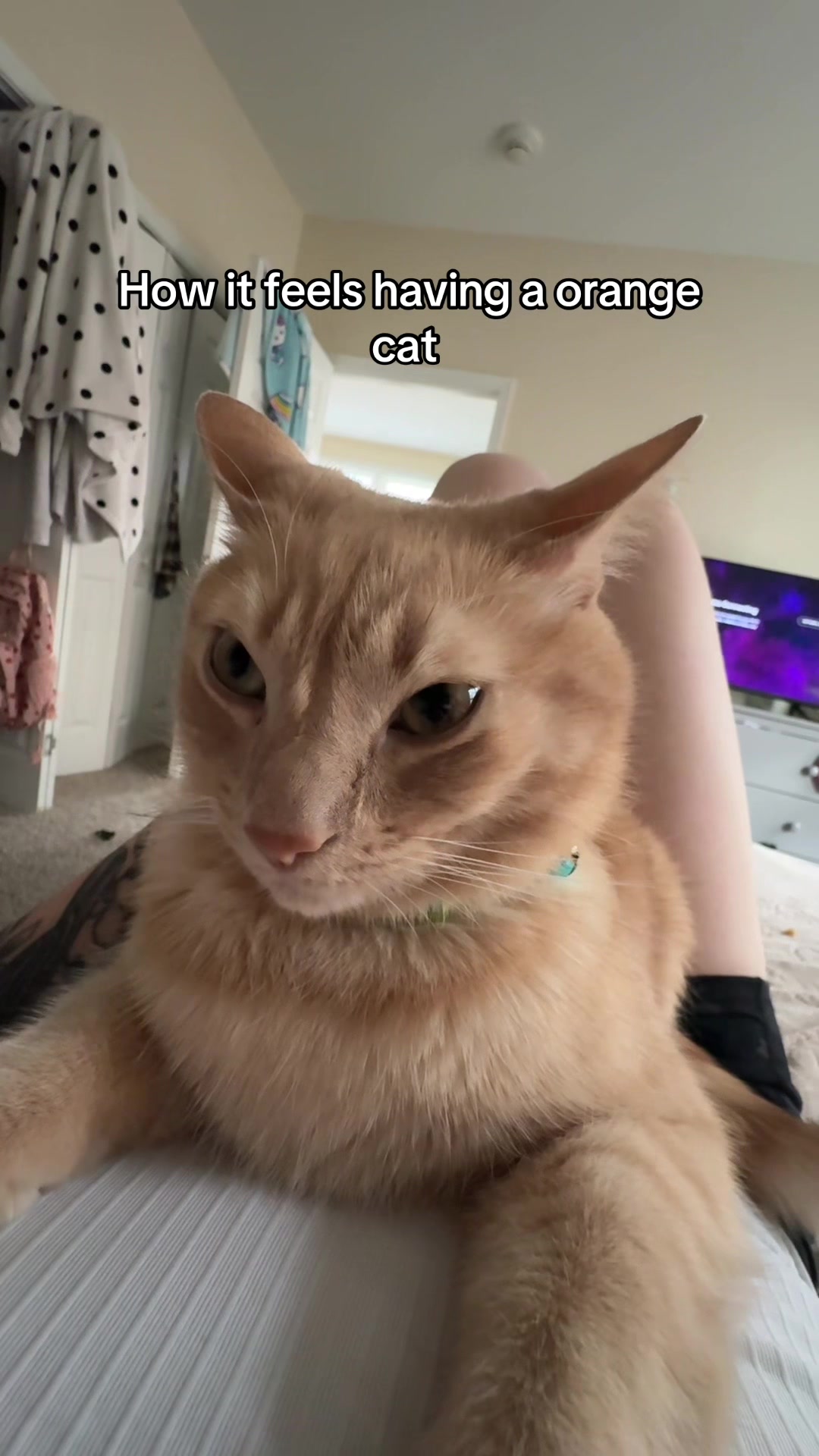 @Kat